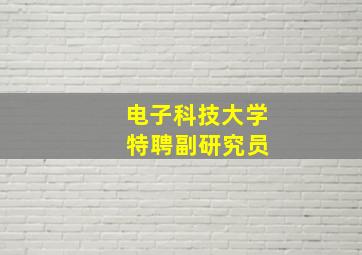 电子科技大学 特聘副研究员